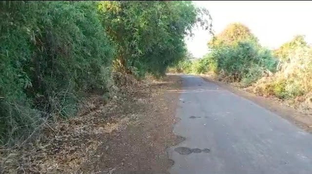  जिओ  कम्पनी केबल की लाइन डालने के नाम पर सड़क की हालत की खराब