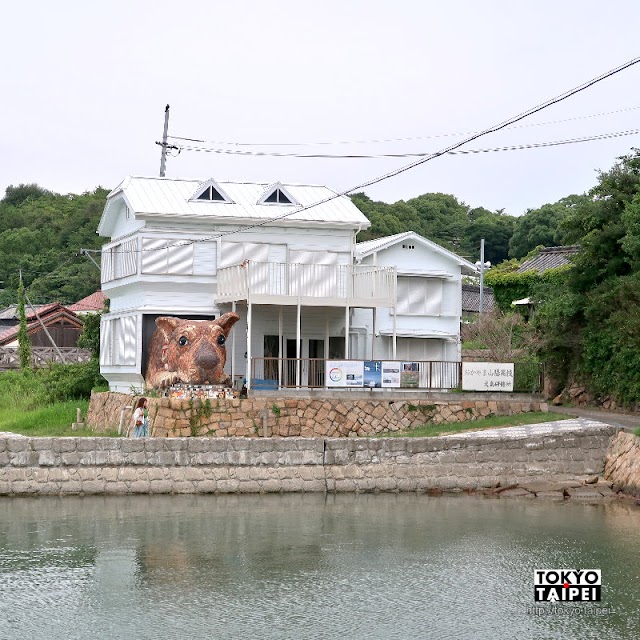 【犬島狗屋計劃】犬島上的島犬　3公尺高超萌大狗趴在屋裡探頭看海