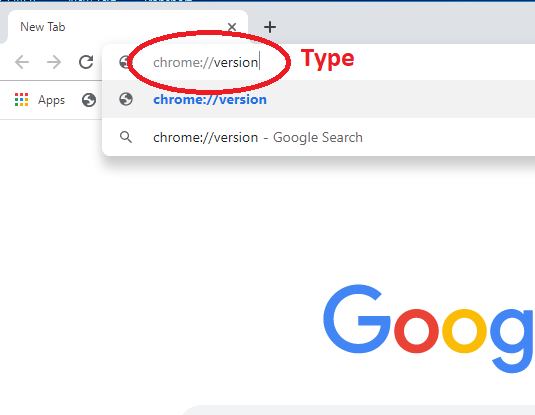 how to check google chrome version from browser URL