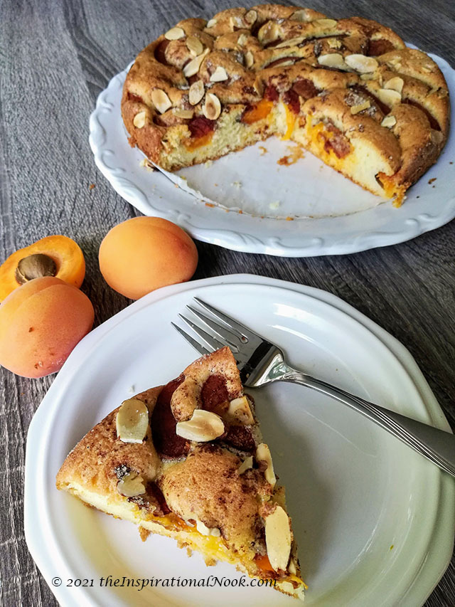 Apricot torte, Apricot and almond cake, fresh apricot cake, moist apricot cake, aprikosenkuchen, german apricot cake, fresh apricot and almond cake, inspired by marian burros, marian burros plum torte variation
