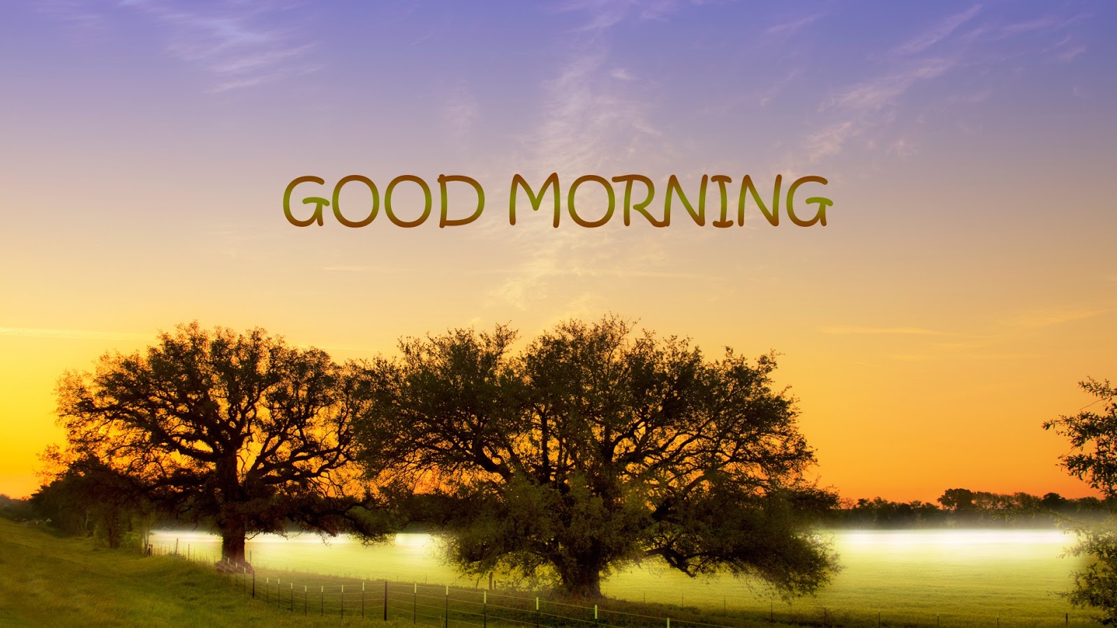 Best Good Morning HD Wallpapers, Download Good Morning ...