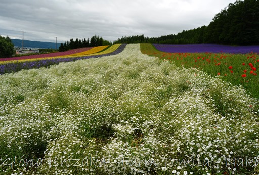 Glória Ishizaka - Farm Tomita 61