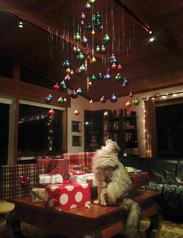 These Geniuses Found A Way To Protect Their Christmas Trees From Their Cats And Dogs