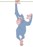 ape4