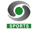 DD Sports Logo