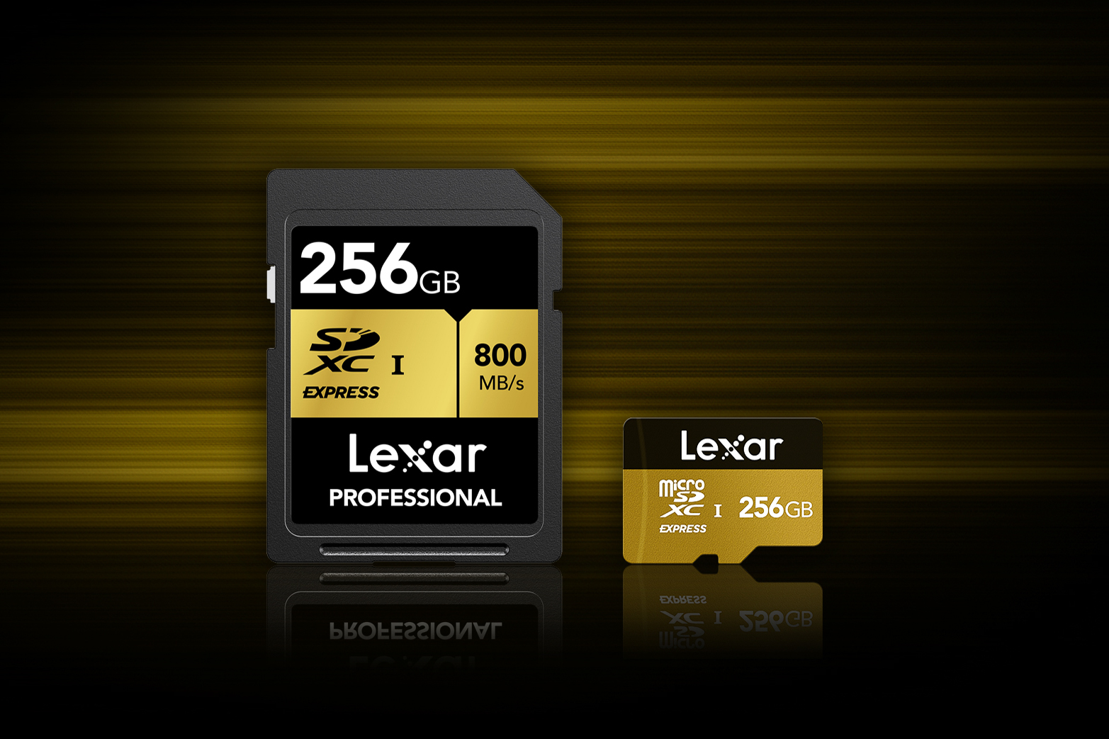 Lexar SD Express 512 GB и Lexar MicroSD Express 256 GB