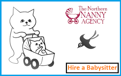 www.thenorthernnannyagency.com/families