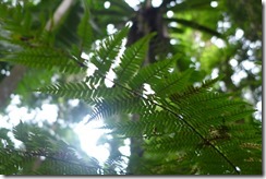 P1040708