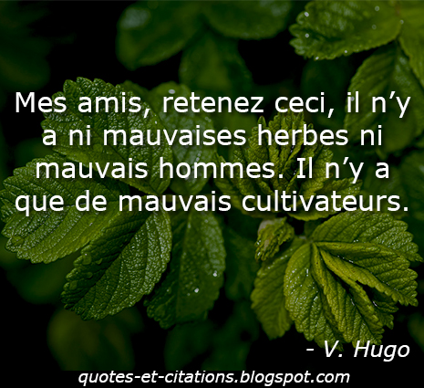  citation les mauvais cultivateurs