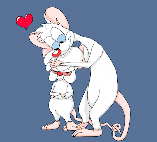 Pinky and The Brain