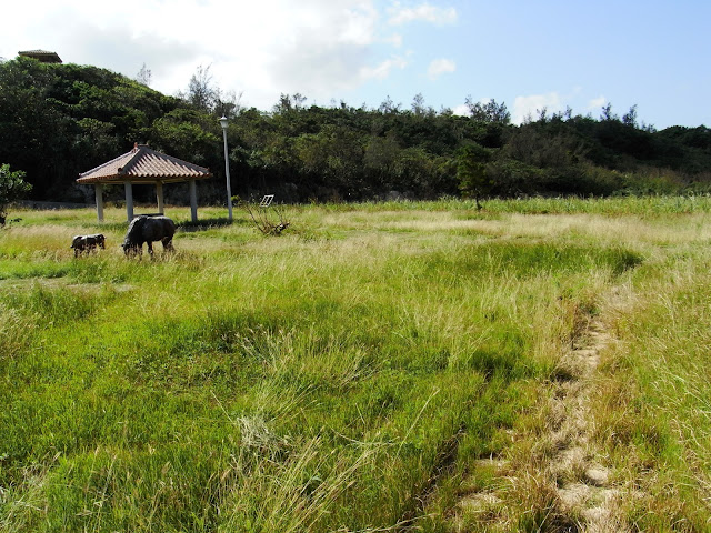 皆福地下ダム公園（沖縄県宮古島市）