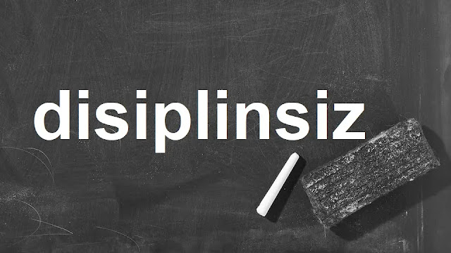 disiplinsiz