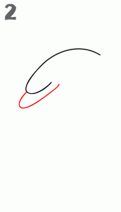 طريقة رسم دولفين