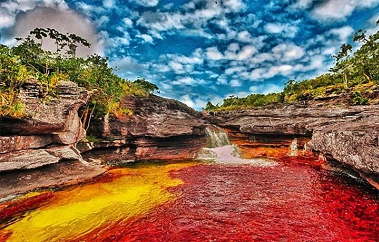 Cano Cristales, Sungai Indah dengan Lima Warna di Kolombia