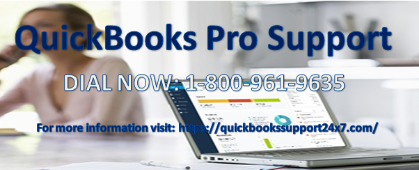 quickbooks pro support