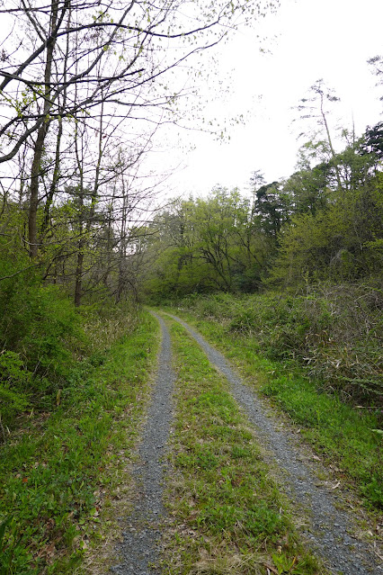 果樹園へ向かう山道