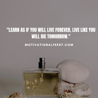 "Learn as if you will live forever, live like you will die tomorrow."