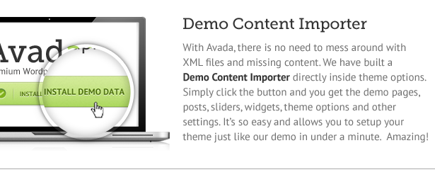  Demo Content Importer