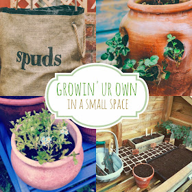 Growing your own, in a small space