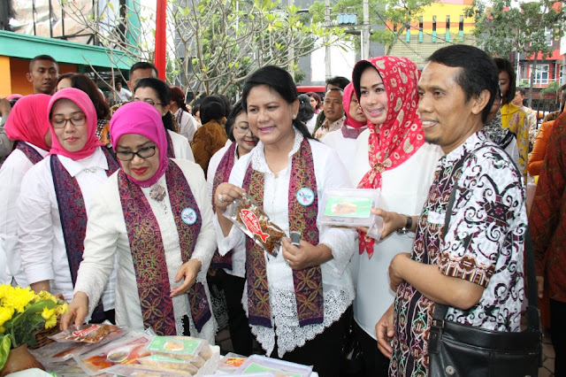 Berkunjung ke Medan dan Deli Serdang, Ibu Negara Kagumi Kerajinan Sumut