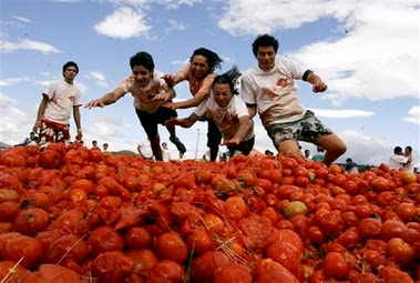 Tomatina Tomato Fight