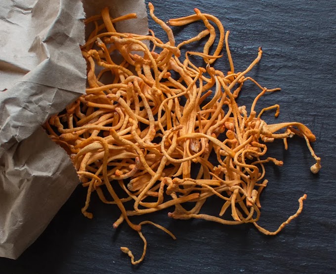 Cordyceps Mushroom Supplier In Manglore | Cordyceps Mushroom Wholesaler In Manglore | Mushroom Exporter Company In Mangaluru, Karnataka