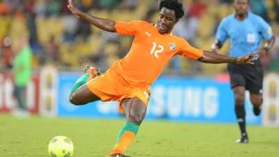 Wilfried Bony