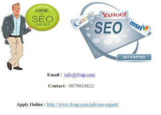 SEO Expert