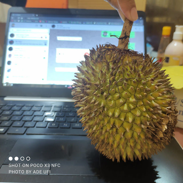 Buah Lai yang Serupa tapi Tak Sama dengan Durian