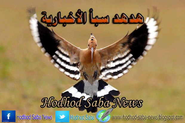 تم افتتاح موقع هدهد سبأ الاخبارية Hodhod Saba News  اخبار ، اليمن ، اول ، باول ، news ، yemen ، now ، hodhod ، sabs ، shaba ، يمني ، اخر ، عاجل ، 