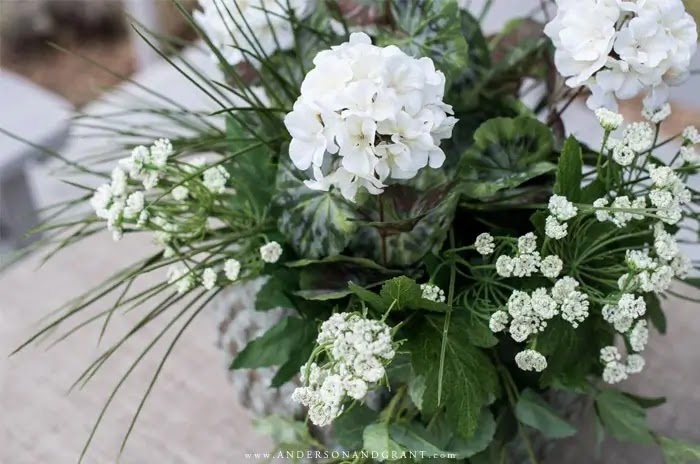 White flowers in pot