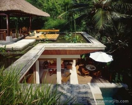 Jungle-Hotel-amarjits-com (3)
