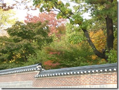 DSCI0097