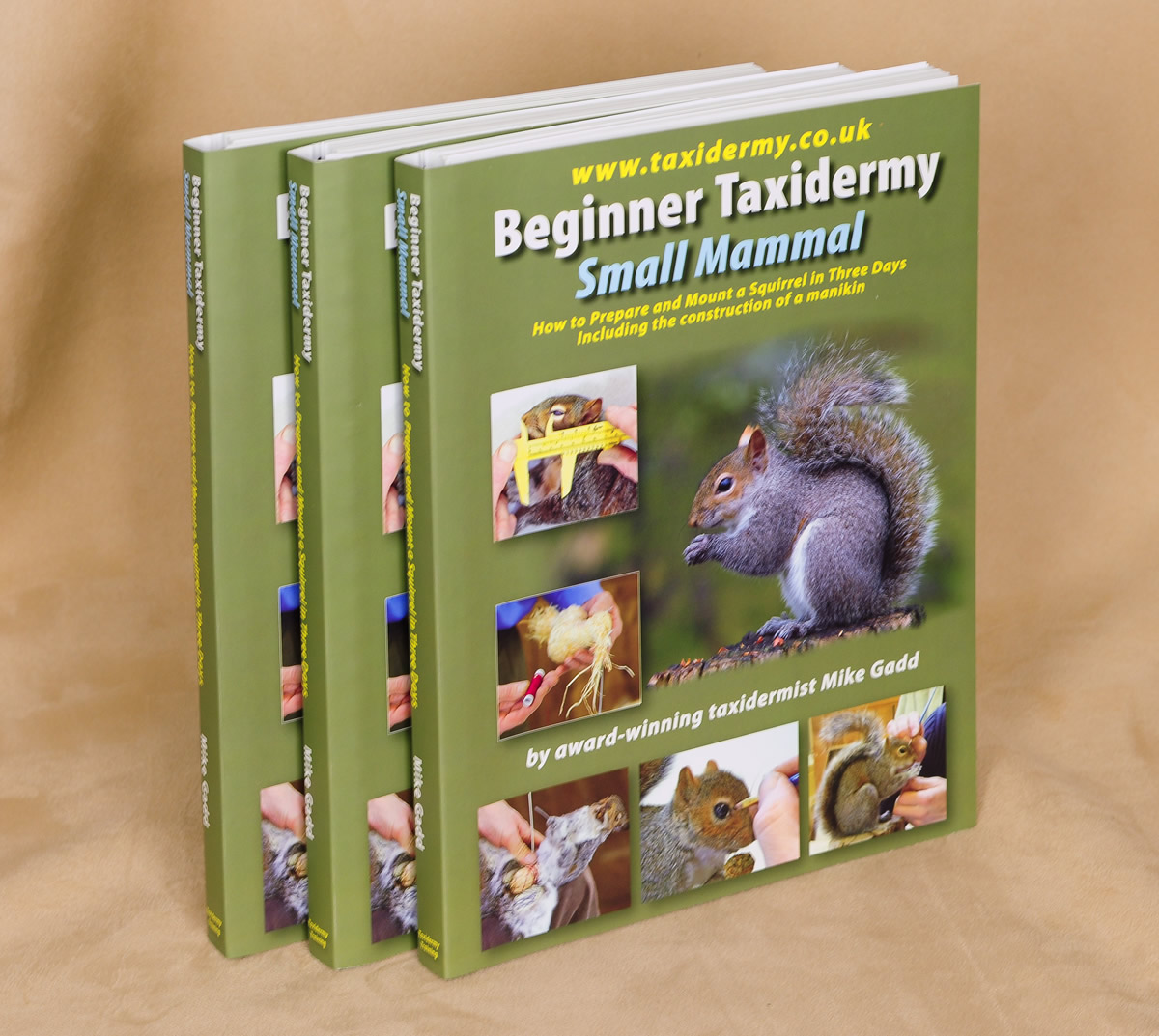 Uk Taxidermy New Book Beginner Taxidermy Small Mammal