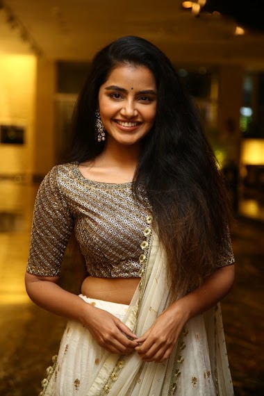 Enchanting Grace: Anupama Parameswaran's Latest Stunning Photo Collection