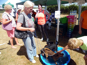 Jerry Green Dog Rescue Centre Great North Lincs Summer Show 2018 - fourth picture on Nigel Fisher's Brigg Blog