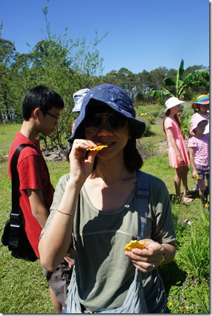 DSC01412