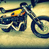 Harley Davidson Sporty 883 Cafe Racer