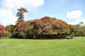 The Lost Gardens of Heligan