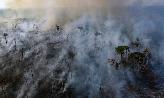 Governo foi alertado pelo Ministério Público três dias antes de “dia do fogo”