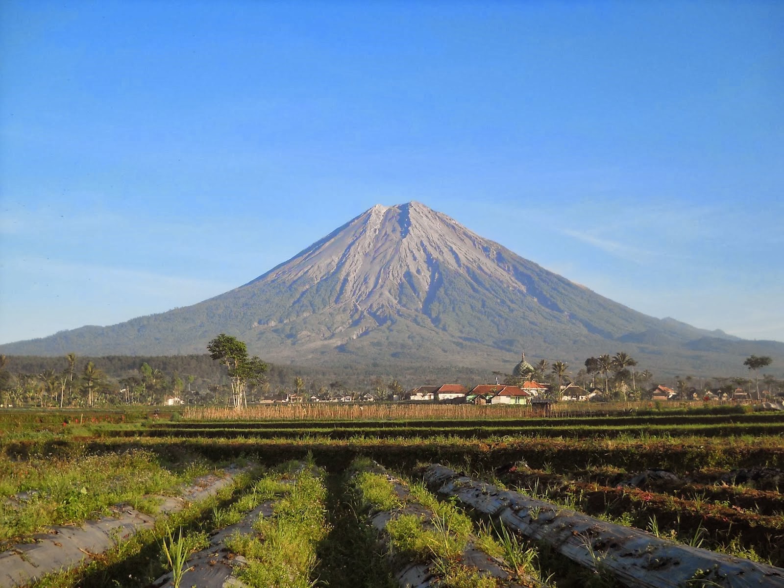 Gunung Semeru - Terbaru