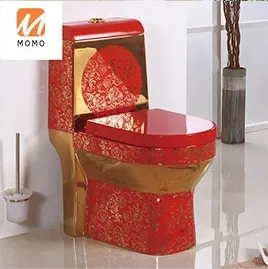 Gold European toilet