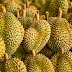 Durian