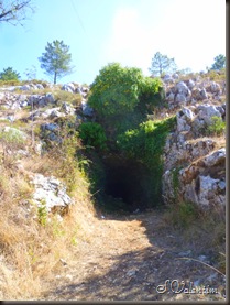 P1170390