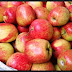 10 Benefits of Anna's Apples for Health and Pregnant Mom