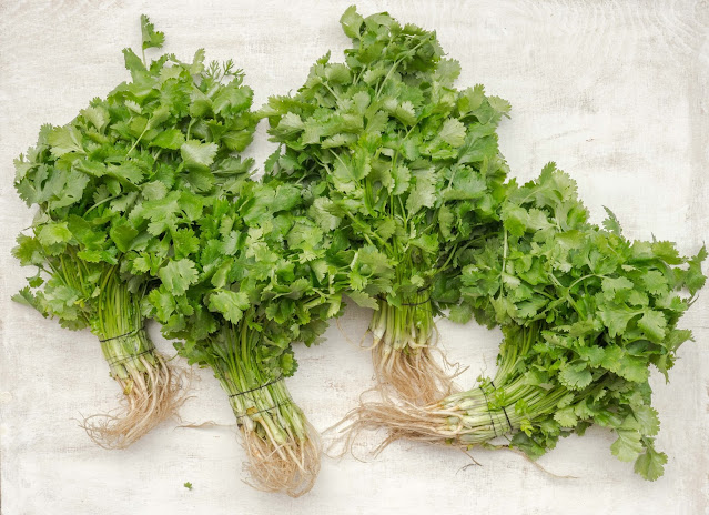 Coriander leaves