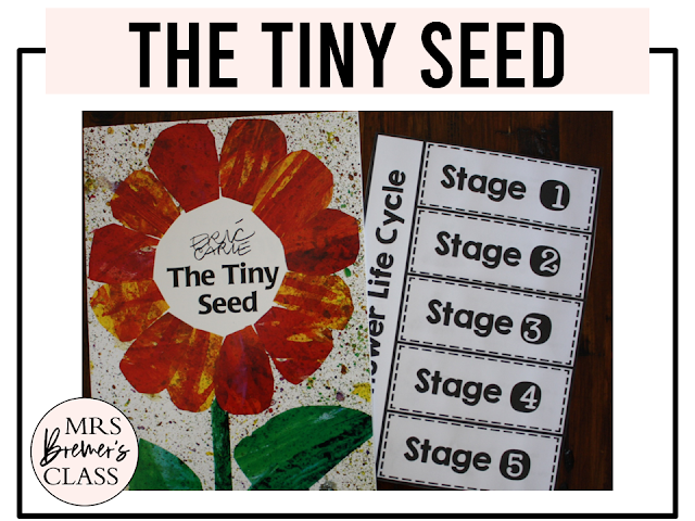 Tiny Seed book study activities unit with literacy companion activities and plant life cycle for Kindergarten and First Grade