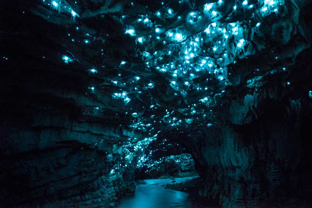 glow worm cave, new zezland