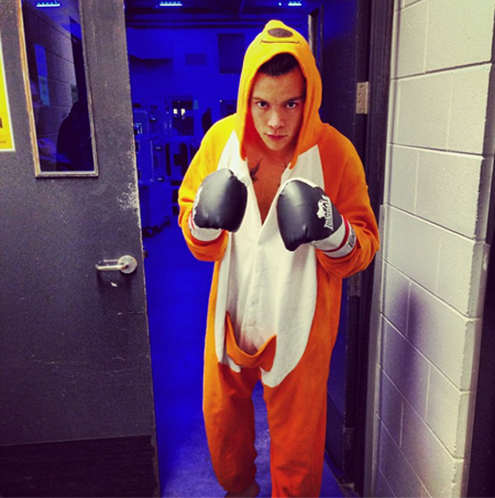 and the boxing kangaroo was Harry! 1DHQ