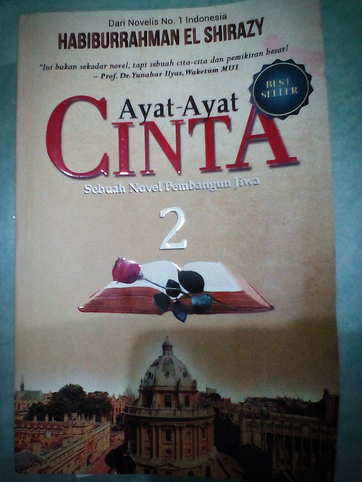 CATATAN NOVEL AYAT AYAT CINTA 2